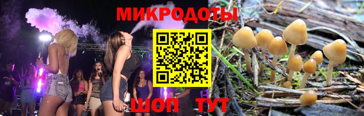 Псилоцибиновые грибы мицелий Нижний Новгород