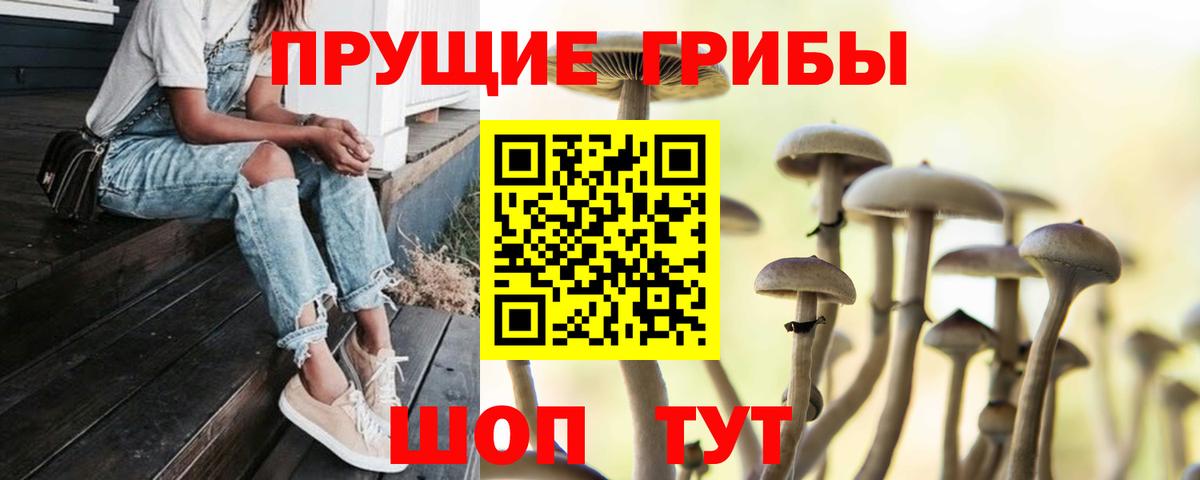Нижний Новгород  Галлюциногенные грибы ЛСД  наркота  Вход с VPN  Галлюциногенные грибы Psilocybe 